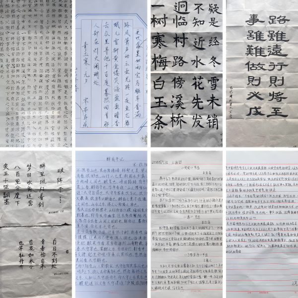 WPS拼图0(1).png